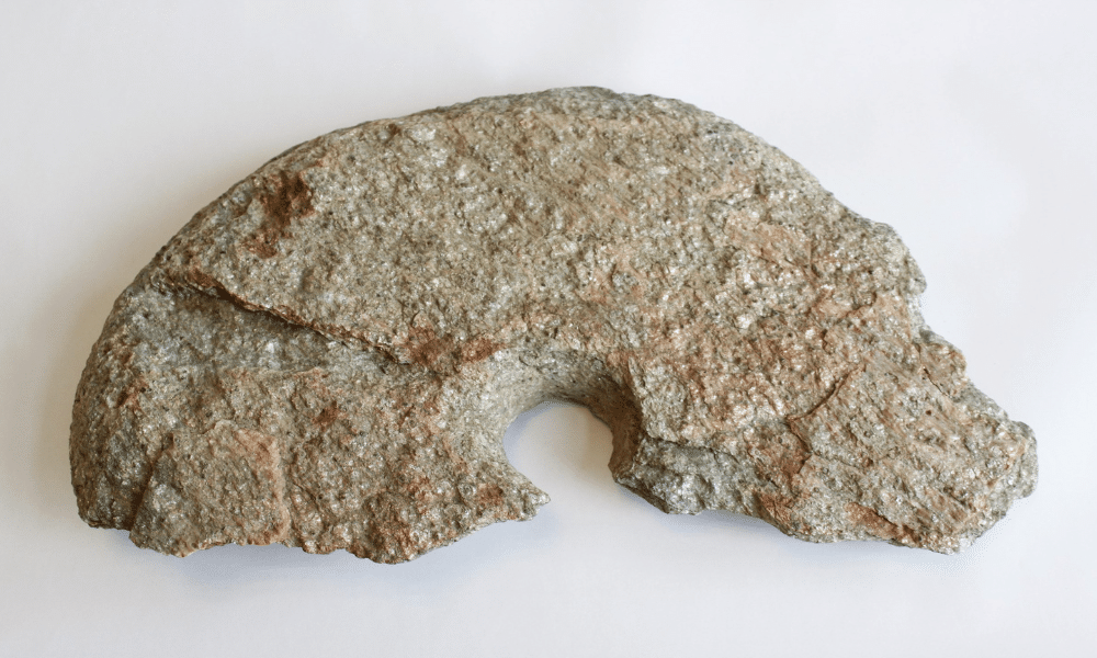 Unikt middelalderfund ved Skive: Nyt forskningsbidrag i KUML 2025 om specialiseret okseanlæg ved Limfjorden